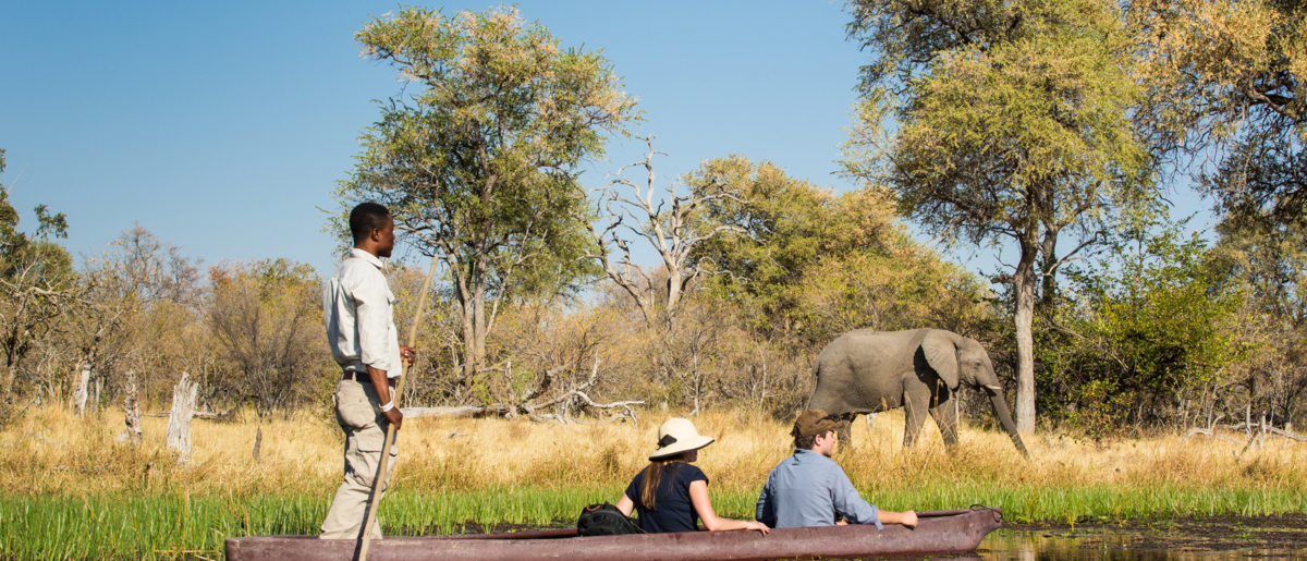 Machaba Camps 126 Machaba Camps 126