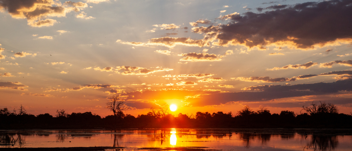 Machaba Machaba Experience Safari Mvr 054 Machaba Machaba Experience Safari Mvr 054