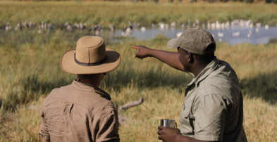 Machaba Safaris Web Botswana Gomoti Camp Gallery Birding Machaba Safaris Web Botswana Gomoti Camp Gallery Birding