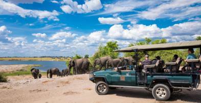 Machaba Safaris Web Ngoma Lodge Activities Safari Game Drive Machaba Safaris Web Ngoma Lodge Activities Safari Game Drive