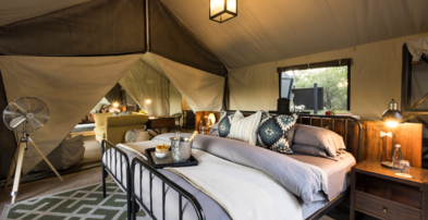 Machaba Safaris Web Botswana Machaba Camp Room Gallery Family Tent Machaba Safaris Web Botswana Machaba Camp Room Gallery Family Tent