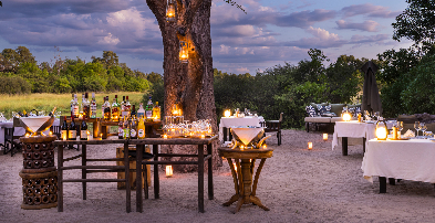 Machaba Safaris Web Botswana Machaba Camp Gallery Dining Outdoors Machaba Safaris Web Botswana Machaba Camp Gallery Dining Outdoors