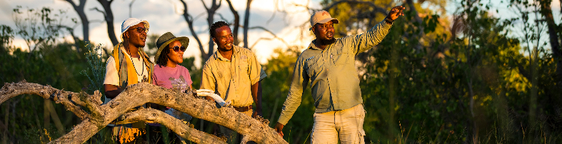 Machaba Safaris Web Botswana Machaba Camp Gallery Experiences Safari Machaba Safaris Web Botswana Machaba Camp Gallery Experiences Safari